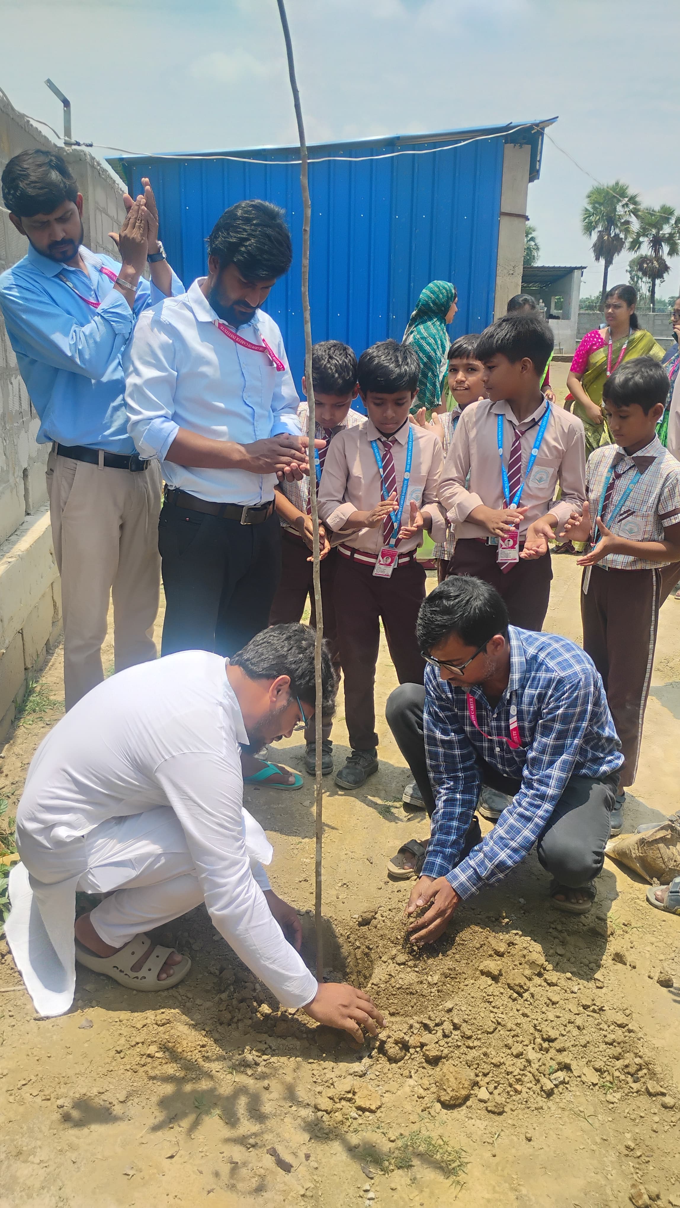 Tree plantation activity